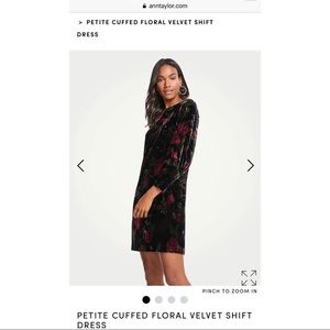 Petite cuffed floral velvet shift dress